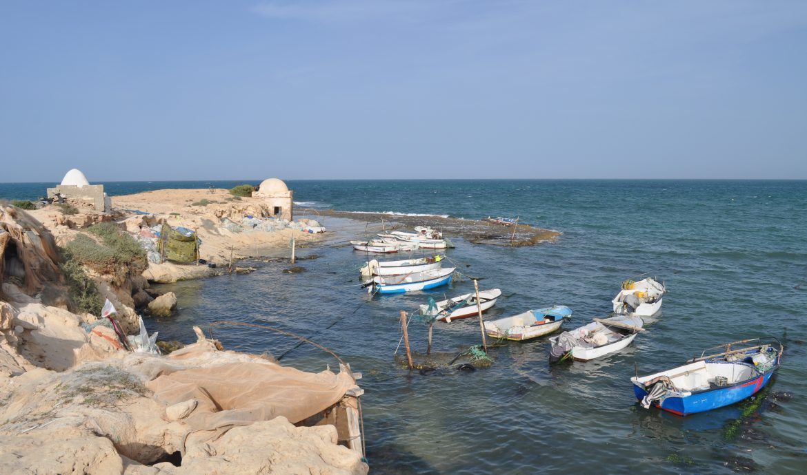 Tunezja – Djerba – oaza Zarzis – 2018